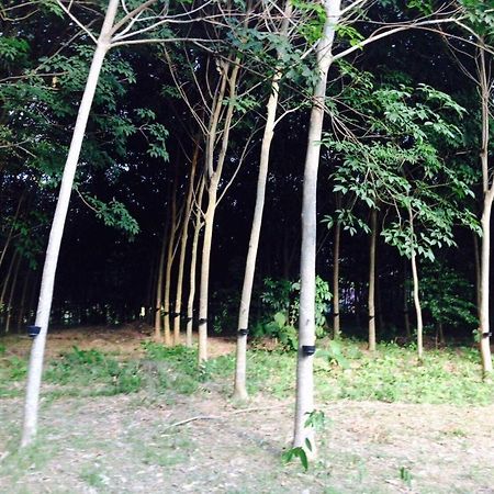 Mr Bao Homestay & Bungalows Яо-Ной Экстерьер фото