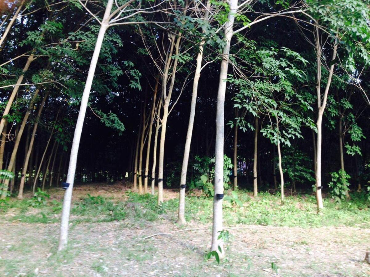 Mr Bao Homestay & Bungalows Яо-Ной Экстерьер фото