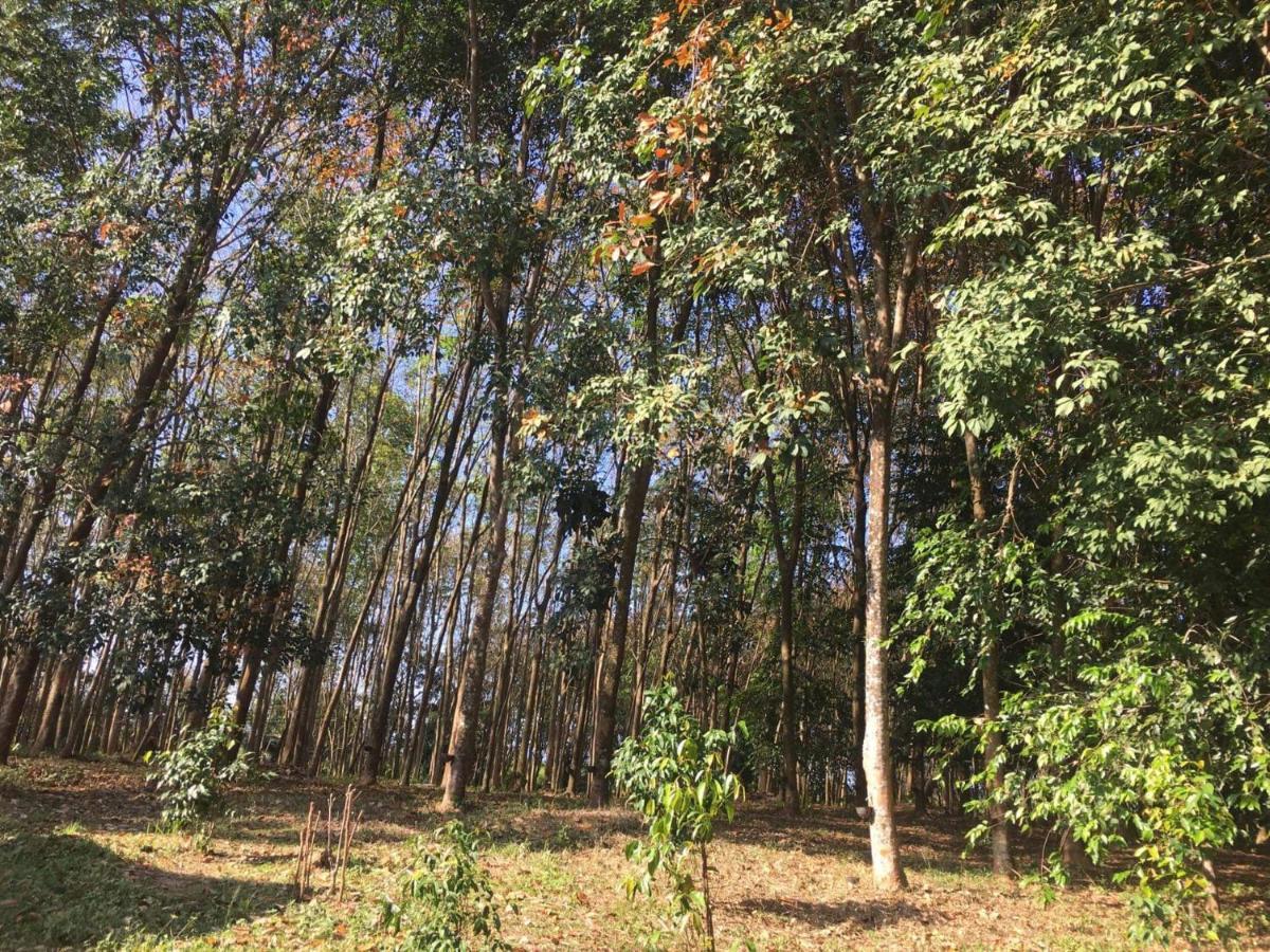 Mr Bao Homestay & Bungalows Яо-Ной Экстерьер фото